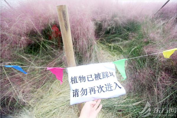 上半年 这些科学新成果或改变你我生活_9929三网回程