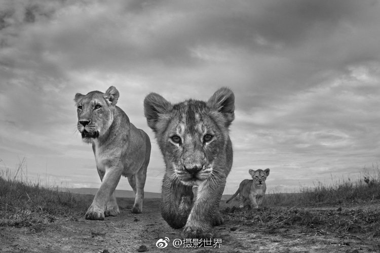 90后摄影师镜头下的中国_9929不绕路