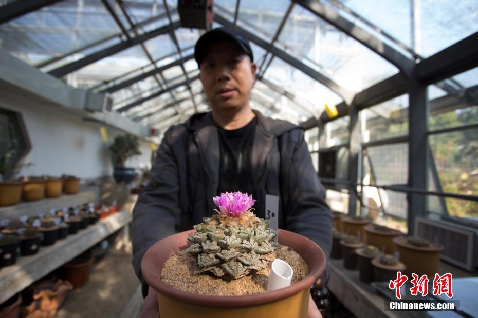 在体育馆里跳基宗巴舞，热情而激烈，网友直呼：“顶不住”！_南京云服务器
