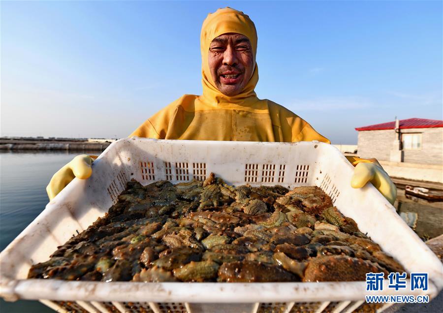 怕老婆是隋文帝一生的软肋_CN2服务器不卡顿