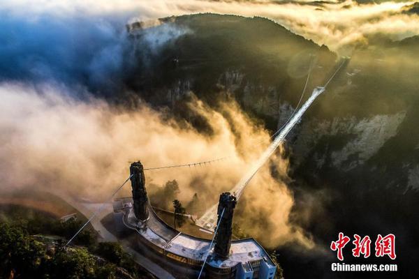 8种情况需尽早肺移植_9929三网回程