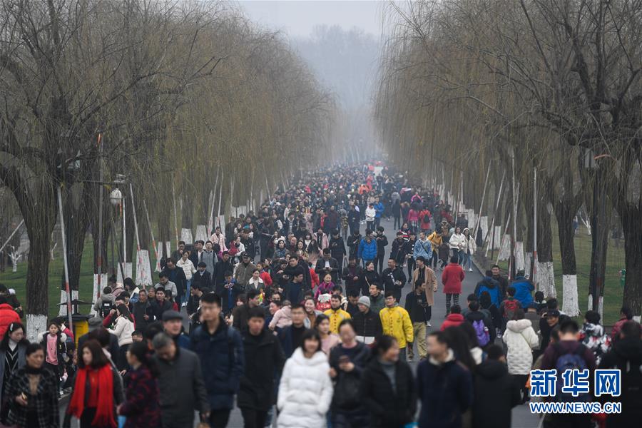 意象江南聚中国美术史现代艺术大家作品_低延迟CN2服务器
