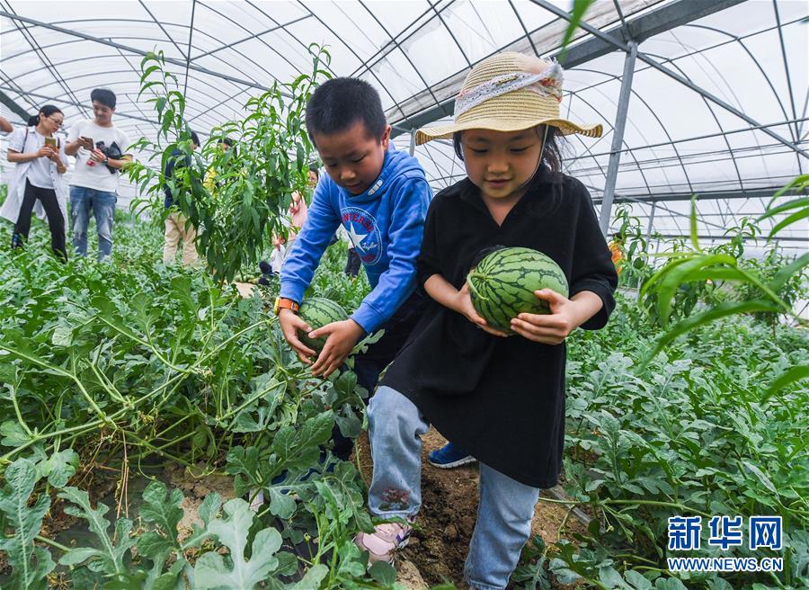 为了姐姐，她被迫认个老太监为父_云服务器企业认证优惠