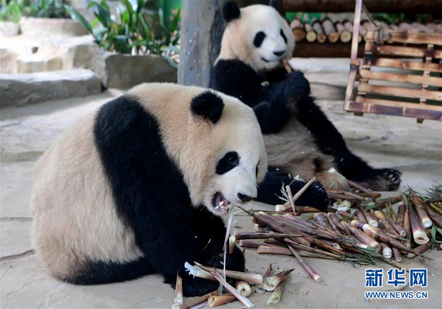 衰老不是病,不必惊慌_云电脑出差必备