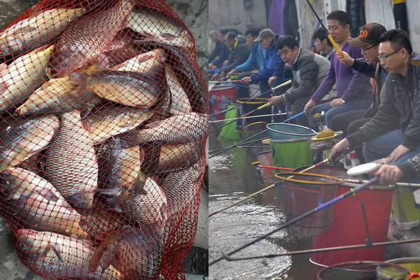 “许志安”式男人值得原谅么?_CN2服务器独享IP