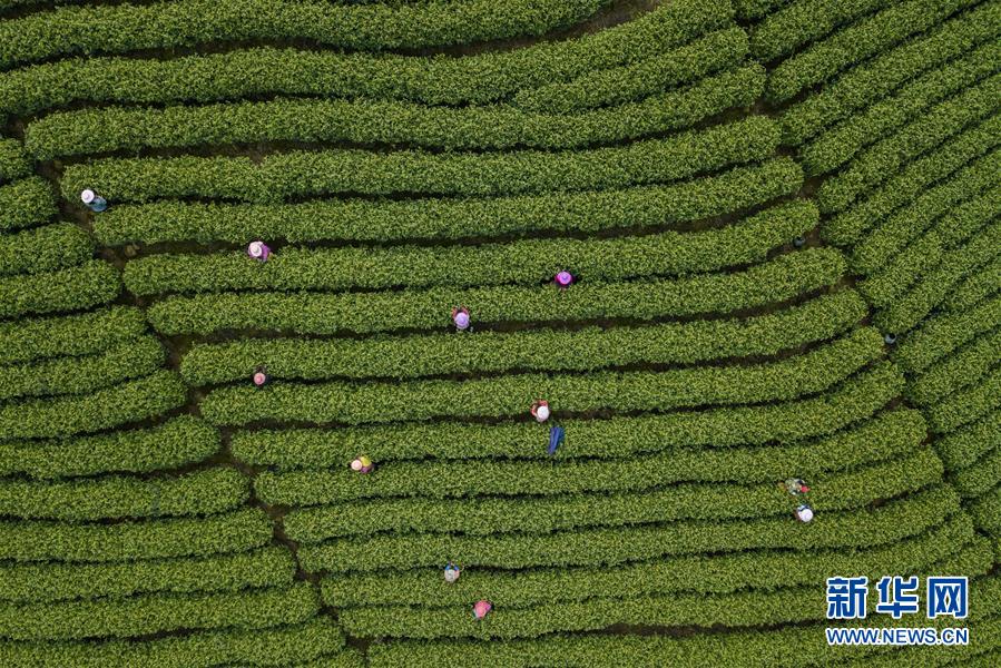 动动手指，选出你喜爱的品牌，包你吃穿住行_挂机宝挂机器人