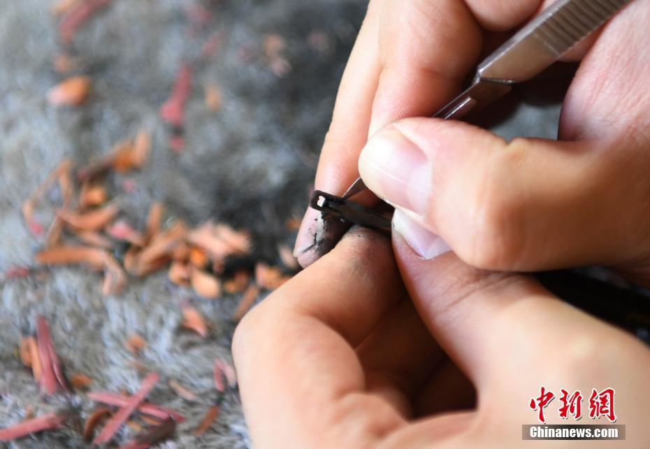 正播上港鲁能国安出战 国安故地重游草皮堪忧_9929高防服务器