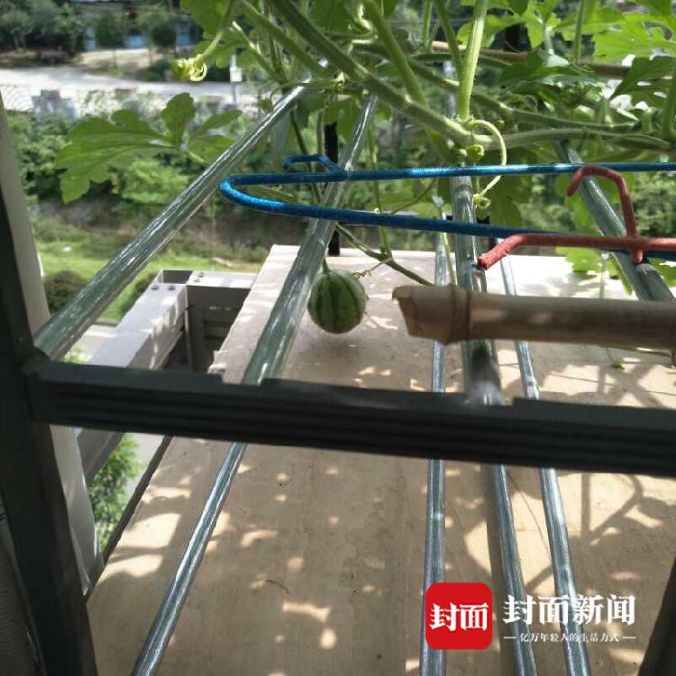 关塔那摩基地指挥官被解除职务，美军称对他“丧失信任”_挂机宝价格