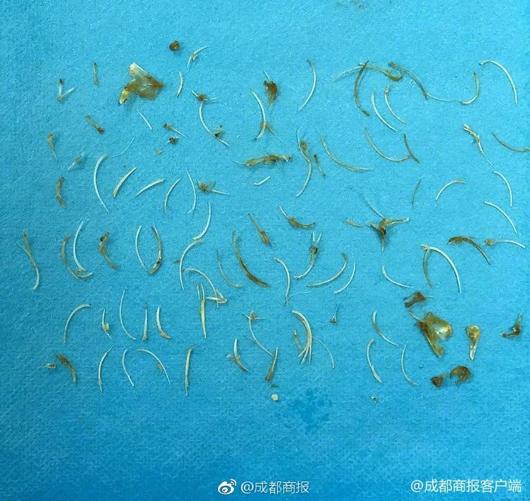 英国小学要搞“杀猪计划”_云电脑手机做任务