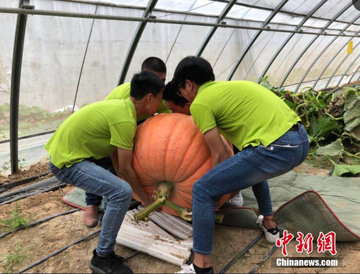 进入5月份,财运一路高歌猛进,钱财源源不断地来,生活美满幸福_挂机宝挂QQ