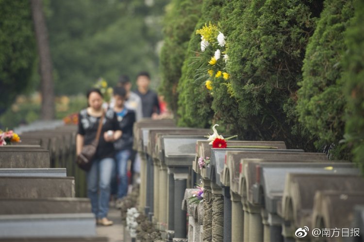 欧冠-阿贾克斯闪击客胜热刺_阿里云99计划