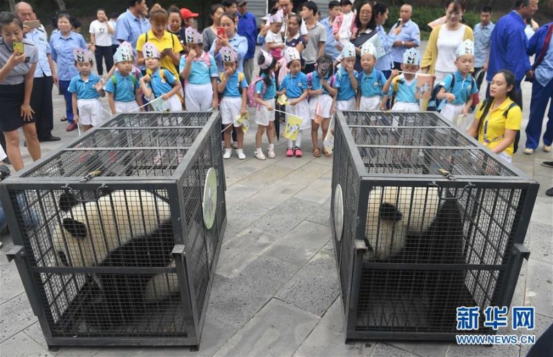 台官员称若解放军攻台可撑超2周 网友:哪来自信_商标注册