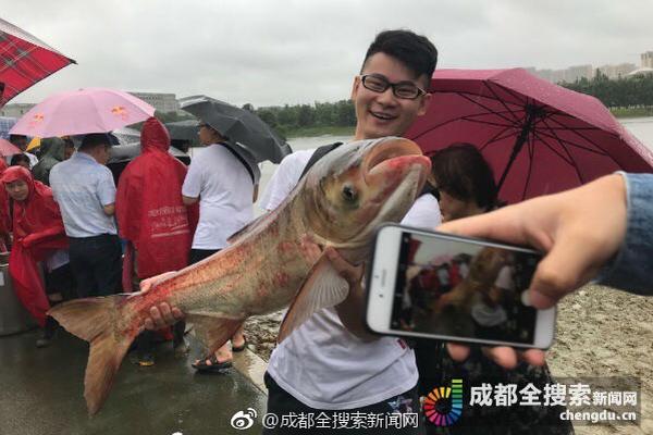 山东青岛全国爱鸟周春光中的火烈鸟_挂机宝客服