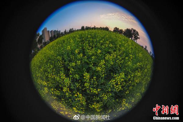 北京已建50余家跨境电商体验店,今年再增10家_挂机宝缓存
