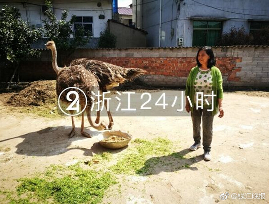 比亚迪强制按揭被约谈_低延迟CN2服务器