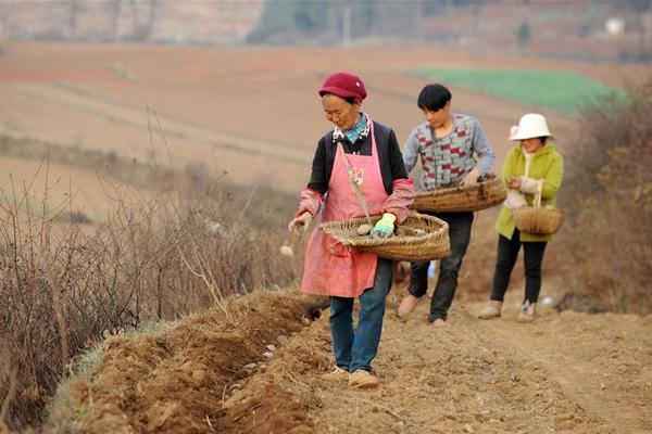 美媒骂特朗普时触犯“天条” 被吓得立刻道歉整改_CN2服务器稳定性