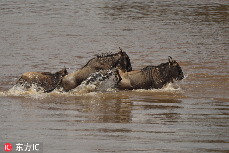 日产雷诺关系降至冰点_GPU实例