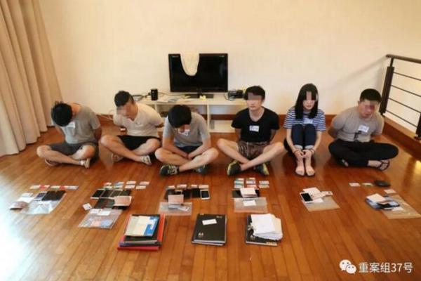 鳄鱼掉落高速后睡着 男子执意带回家_CN2服务器独享IP
