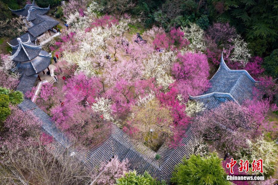 48岁的俞飞鸿比28岁的惊鸿仙子还美_云电脑托管