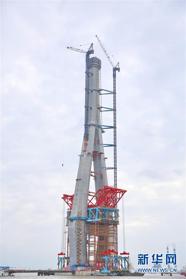 谷歌母公司Q1营收312亿美元净利67亿_CN2服务器跨境电商