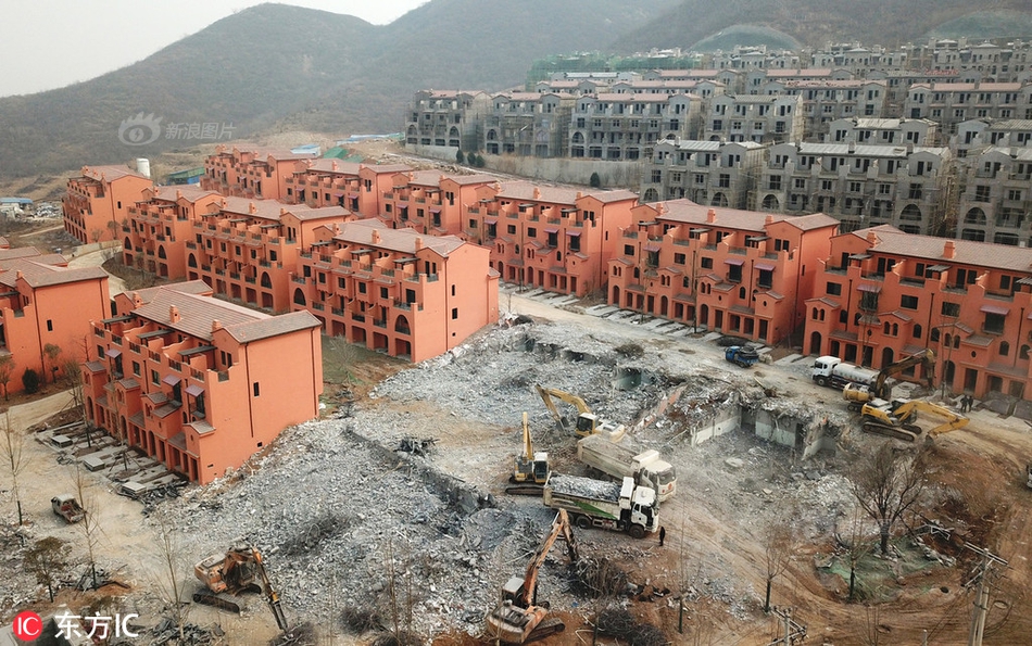 9000元宠物鸡被偷走,找到时已被拔毛准备下锅主人当场崩溃_CN2服务器速度快