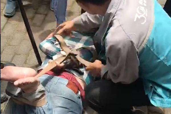 打哈欠真的会传染?哈欠还会传染给狗狗_挂机宝多开