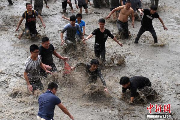 刘诗雯等4年终出这闷气 冲东奥再现曙光_CN2服务器独立IP