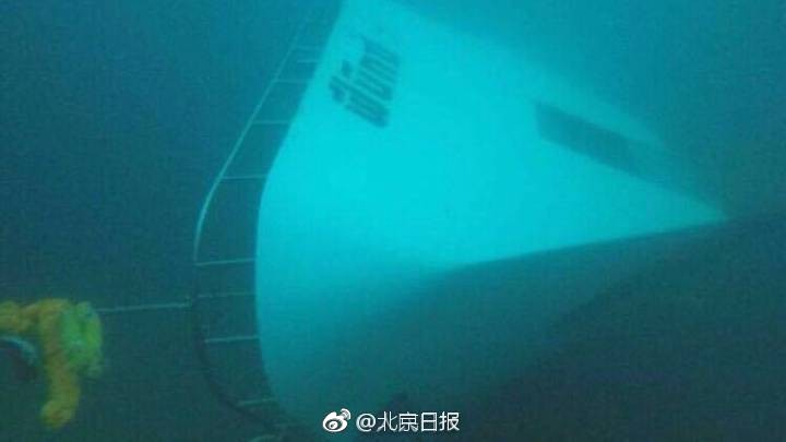 美国小黑喵先天性小脑发育不全 走路摇晃仿佛醉酒_云教学