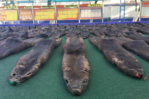 日本天皇退位演说暗藏一颗钉子 这点被指极为罕见_高防挂机宝