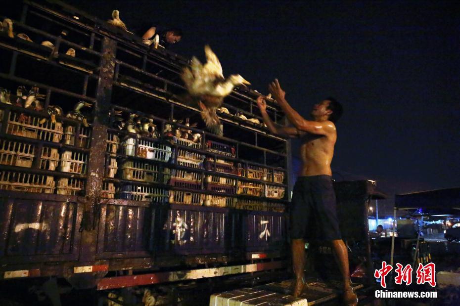 回顾：平行志愿这样填不浪费分_美国CN2云服务器