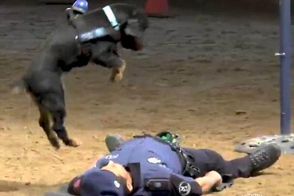 蔡琴大方回应死讯乌龙：谢谢你们让我复活_CN2服务器带宽充足
