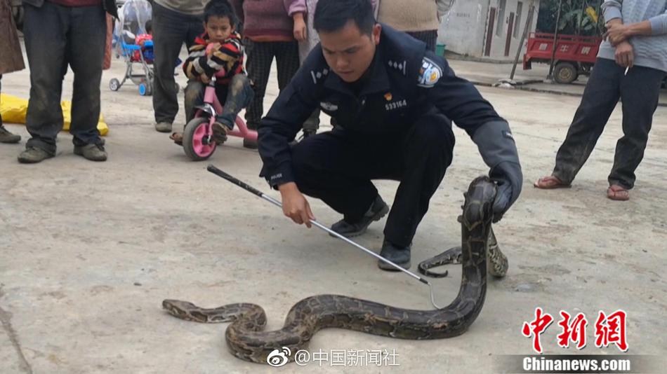 白百何复出后更知性了_挂机宝加速器