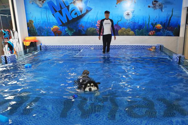 专注3D打印人工骨，点云生物完成B轮融资_云电脑文件共享