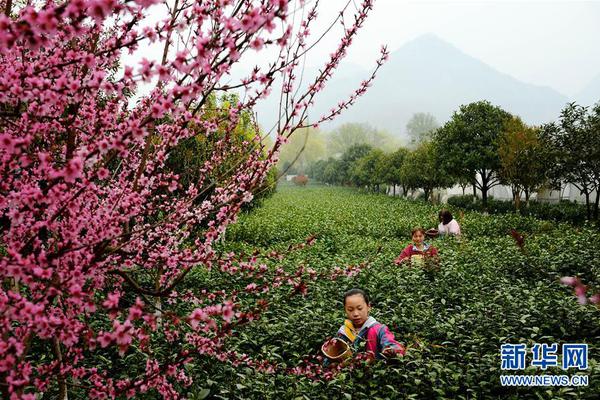 京东方Q1净利下滑超70% 已为与乐视案计提坏账准备_域名