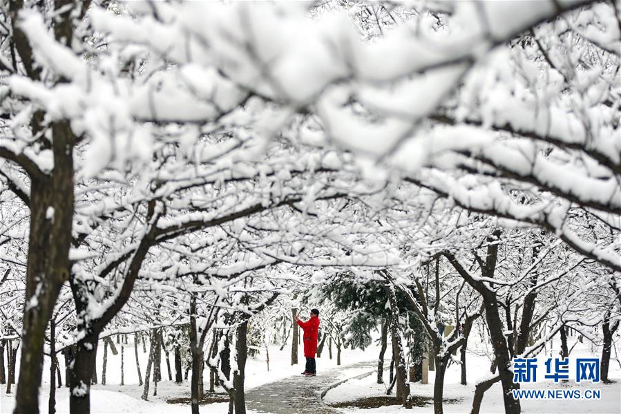 毛坦厂中学旁两居室年租金3万_9929高并发业务
