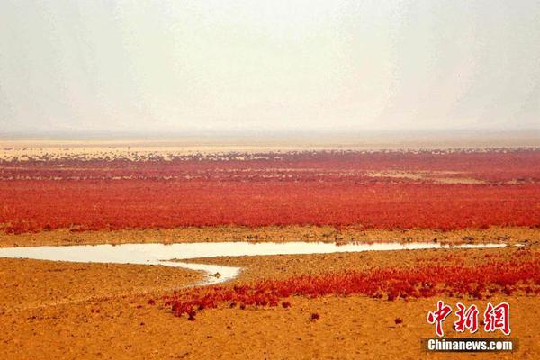 莫里纳利与伍兹对抗史：意大利人是老虎的克星吗？_9929AI推理