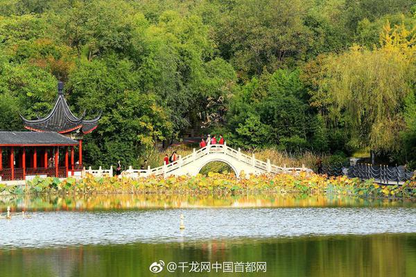 搜狗发布2019年Q1财报：收入超17亿元，AI驱动业务发展新机遇_CN2服务器节点