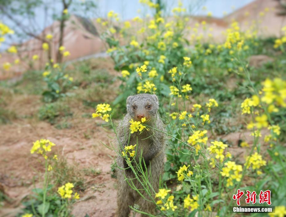 6路信号想看什么全都有！大师赛第三轮直播回放合集_9929实测