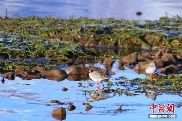 王丽坤一袭白色套装大秀美腿现身某活动_成都云服务器