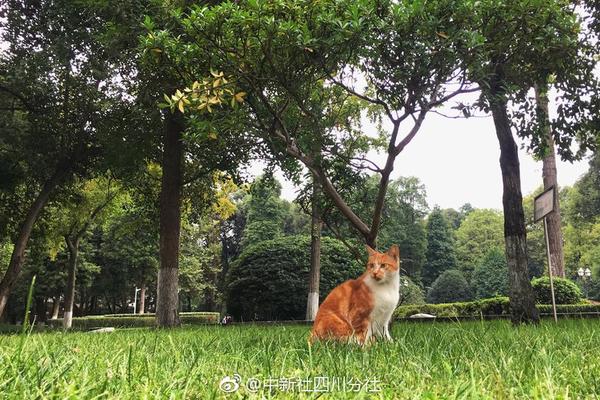 【福利】严选治愈美食|低至5折_挂机宝