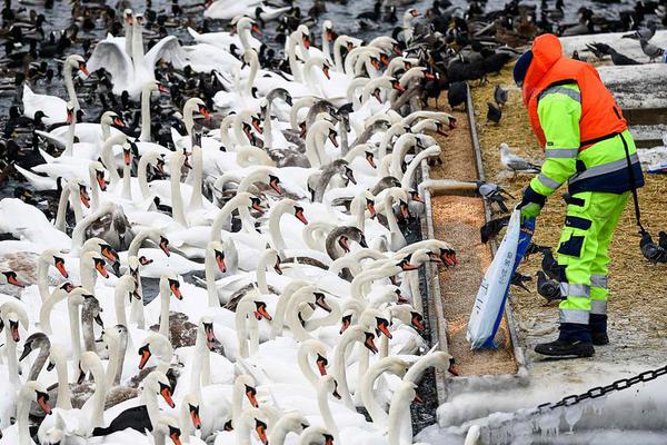 两月市值蒸发2600亿美元 苹果时代已落幕在即?_9929速度测试