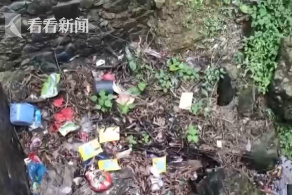 德牧把自己当成孩子，跟小主人抢“妈妈”，谁还不是宝宝呢_CN2官网服务器