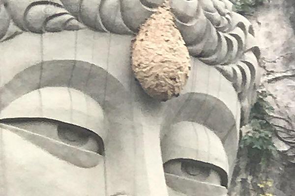 酒不自醉我自醉？因为我的酒红樱桃妆味儿够浓！