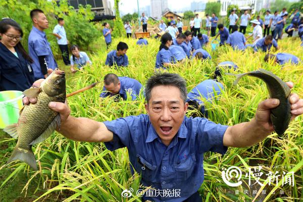 斯坦福大学创业指导课程_CN2服务器不绕路