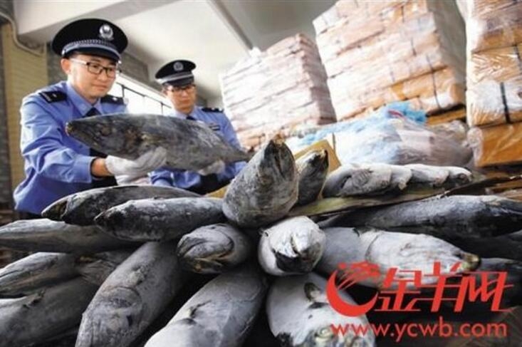 《生活大爆炸》杀青主演不舍落泪_CN2业务服务器