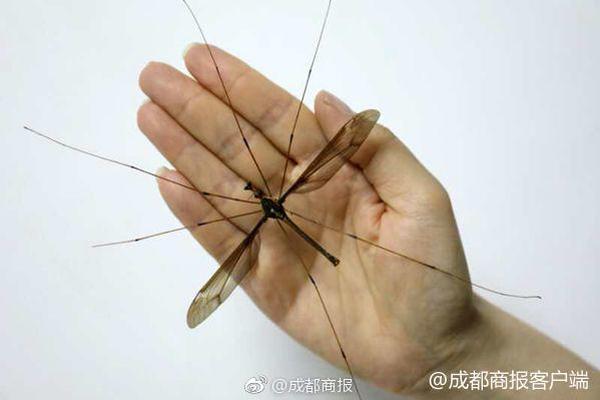 库里手指脱臼!用伤手大血帽!_重庆云服务器