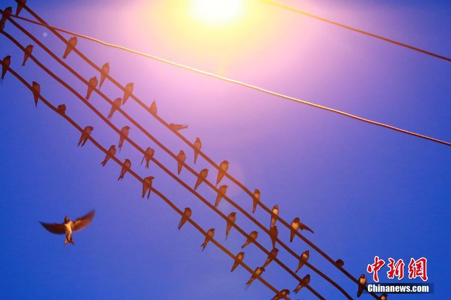 许玮甯风波后首现身约会_腾讯云服务器