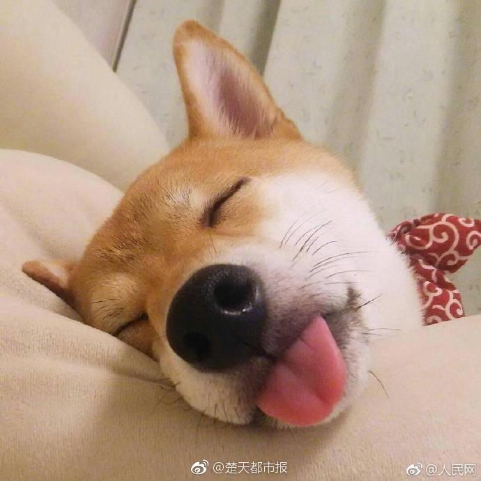 眯眼看物更清楚?这些不良影响要知道_9929视频会议