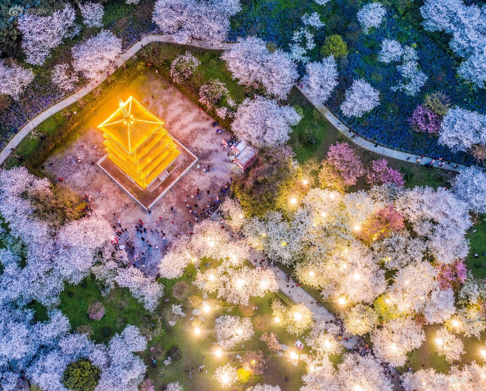 他曾是颜骏凌的替补 与国门同场对垒仍掩盖不了他的光芒_亚马逊AWS中国