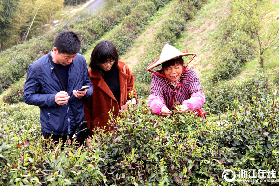 西城取消“多校划片”_云服务器竞价实例